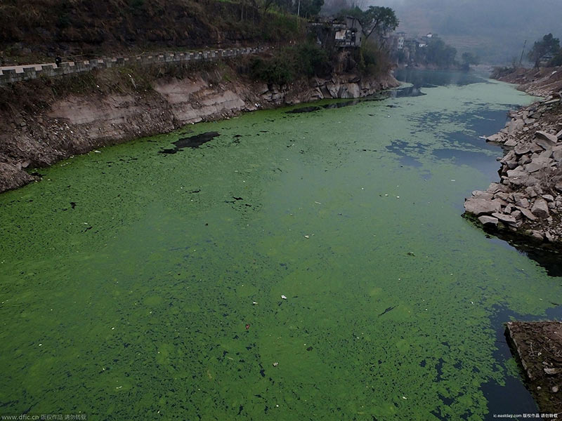 水質檢測儀檢測水質的健康狀況 水質檢測儀檢測水質的健康狀況