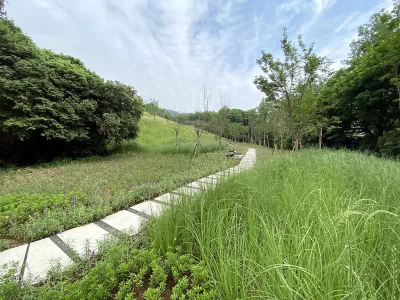 環(huán)境監(jiān)測站節(jié)省成本、提**率