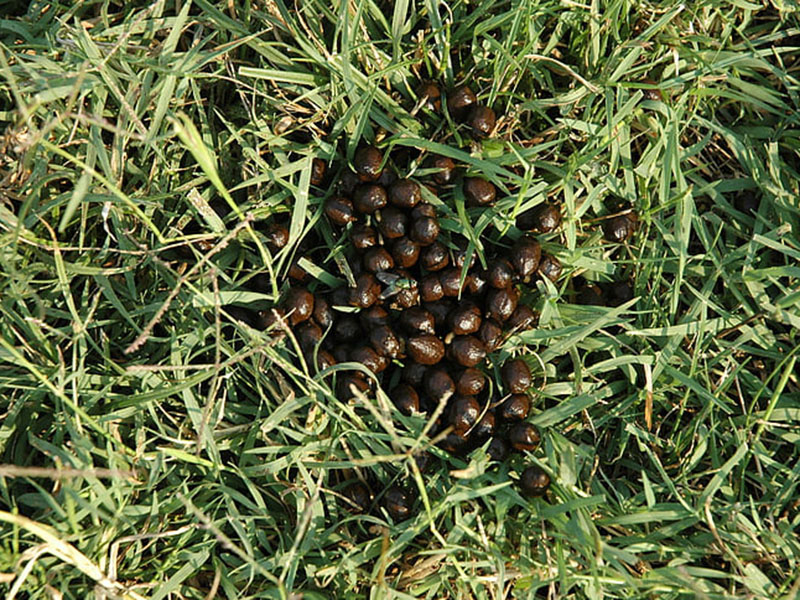 為什么要檢測肥料中的水分？