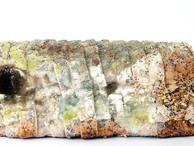 食品中的黃曲霉毒素要怎么去除？