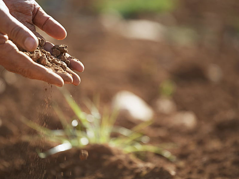 土壤肥料養(yǎng)分檢測(cè)儀靠譜嗎？