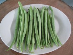 農藥殘留檢測儀，檢測四季豆農藥殘留含量