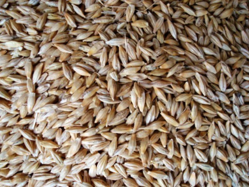 糧食重金屬檢測儀，滿足現(xiàn)場檢測需求