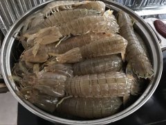 皮皮蝦中為什么會(huì)被檢測(cè)出鎘超標(biāo)？