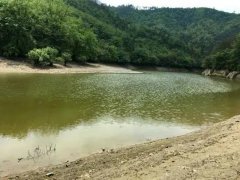 水產(chǎn)養(yǎng)殖檢測(cè)儀，為水源保護(hù)提供精準(zhǔn)數(shù)據(jù)