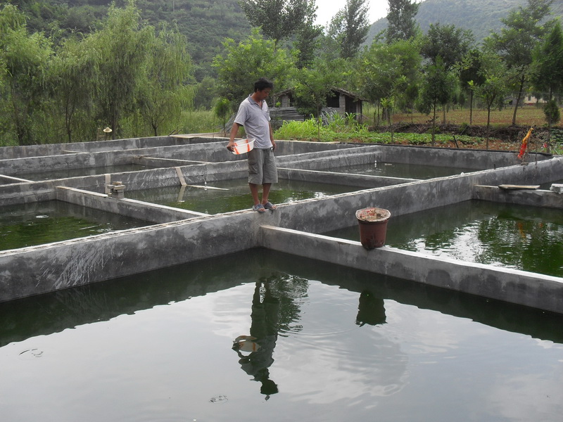 水中硫化氫檢測儀，可以為水產(chǎn)養(yǎng)殖做什么